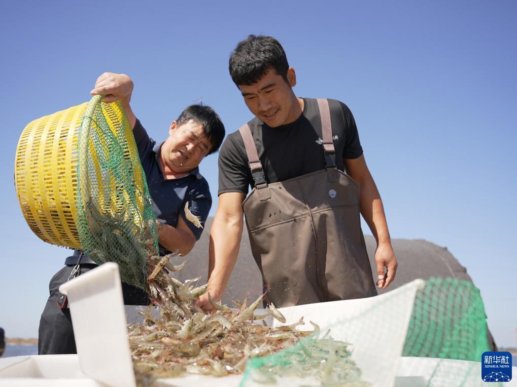 捕鱼大亨辅助免费